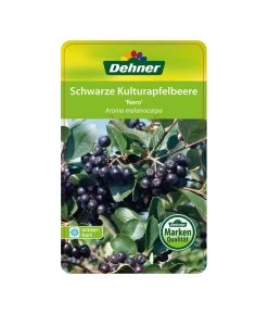 Apfelbeere, Aronia 'Nero' 12 Apfelbeere, Aronia 'Nero' -Pflanzenwelt Verkauf 00000000 Aronia melanocarpa Nero 2016 1