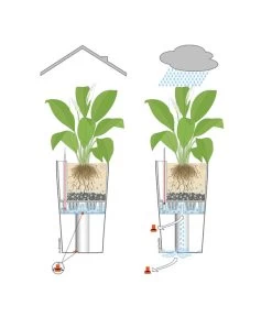 LECHUZA® CLASSICO LS, All-in-One-Set 12 LECHUZA® CLASSICO LS, All-in-One-Set -Pflanzenwelt Verkauf 001 InOutdoorLechuza 2