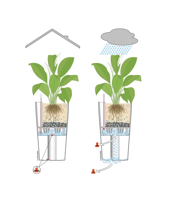 LECHUZA® CLASSICO LS, All-in-One-Set 7 LECHUZA® CLASSICO LS, All-in-One-Set – Bild 5