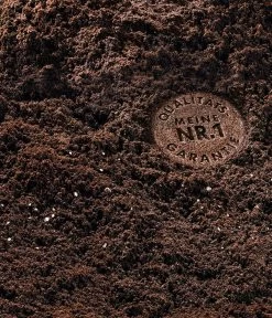 COMPO SANA Grünpflanzen- Und Palmenerde, 20 L 7 COMPO SANA Grünpflanzen- Und Palmenerde, 20 L -Pflanzenwelt Verkauf 144105 WE DE 002 COMPOSANAGruenpflanzenundPalmenerde20l