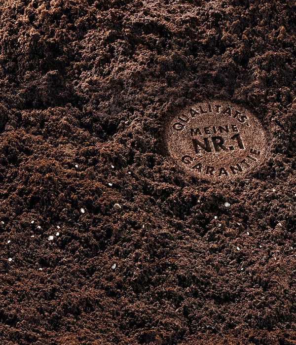 COMPO SANA Grünpflanzen- Und Palmenerde, 20 L 5 COMPO SANA Grünpflanzen- Und Palmenerde, 20 L – Bild 3