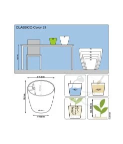 LECHUZA® CLASSICO Color, All-in-One-Set -Pflanzenwelt Verkauf 1495001 1494889 1494509 WE DE 001 ClassicoColor21