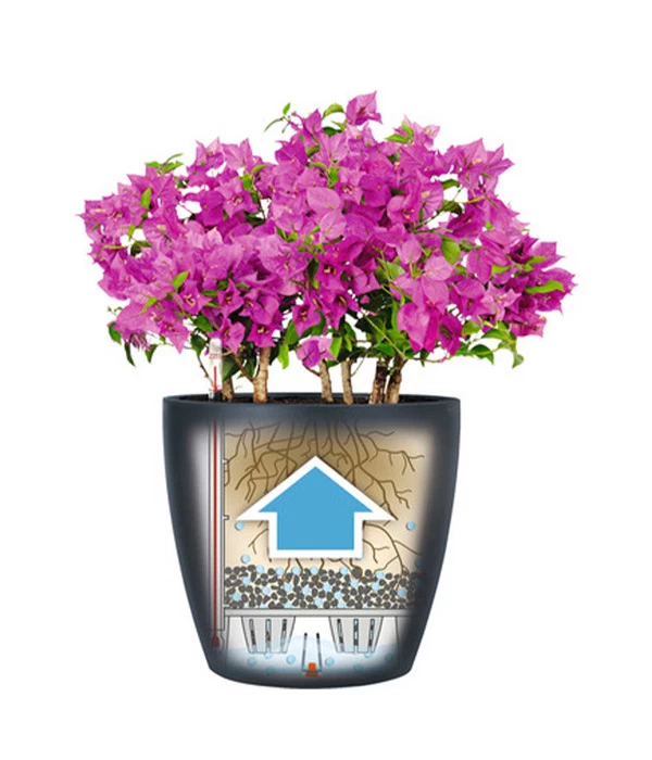 LECHUZA® CLASSICO Color, All-in-One-Set – Bild 5