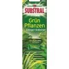 Substral® Grünpflanzen Dünger-Stäbchen, 30 Stk. 2 Substral® Grünpflanzen Dünger-Stäbchen, 30 Stk. -Pflanzenwelt Verkauf 1517978 WE FS 001 SubstralDuengestaebchenGruenpflanzen30Stueck