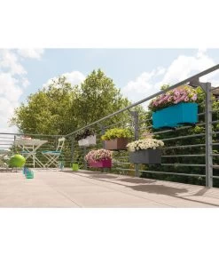 LECHUZA® Balkonkastenhalter 9 LECHUZA® Balkonkastenhalter -Pflanzenwelt Verkauf 1703222 1703230 1703263 1703297 1703305 1703313 WE MO 002 LechuzaBalconeraColorAllinOneSetBalkonkastenBlumenkasten