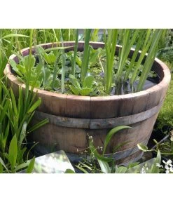 Holz-Weinfasskübel, Rund, Braun -Pflanzenwelt Verkauf 1710680 WE MO 001 WeinfassKuebelEiche