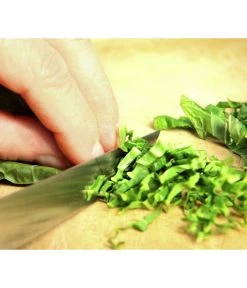 Wasabi 13 Wasabi -Pflanzenwelt Verkauf 20120718 WE MO 003 Wasabi Gs Detail Blaetter schneiden