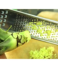 Wasabi 12 Wasabi -Pflanzenwelt Verkauf 20120718 WE MO 004 Wasabi Gs Reibe