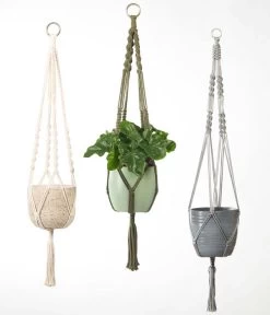 Dehner Makramee-Ampel 11 Dehner Makramee-Ampel -Pflanzenwelt Verkauf 2061968 4409132 WE MO 002 AmpelMakramee