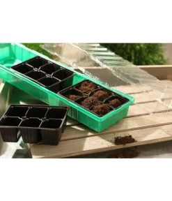 Dehner Zimmergewächshaus Frans, 54 X 15 X 12 Cm 7 Dehner Zimmergewächshaus Frans, 54 X 15 X 12 Cm -Pflanzenwelt Verkauf 207456 BildM 001 RombergZimmergewaechshausFransFensterbGewH54X15x12