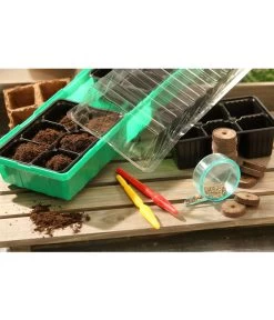 Dehner Zimmergewächshaus Frans, 54 X 15 X 12 Cm 8 Dehner Zimmergewächshaus Frans, 54 X 15 X 12 Cm -Pflanzenwelt Verkauf 207456 BildM 002 RombergZimmergewaechshausFransFensterbGewH54X15x12