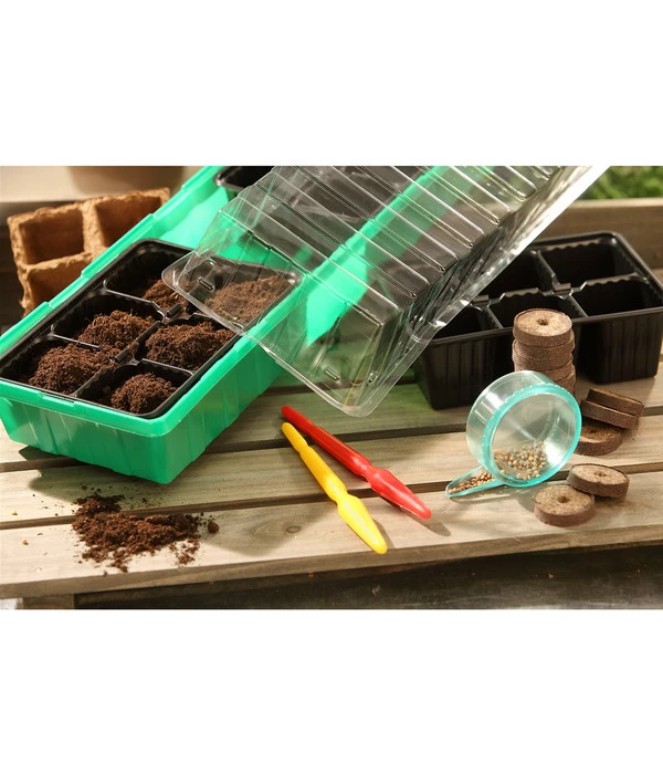 Dehner Zimmergewächshaus Frans, 54 X 15 X 12 Cm 5 Dehner Zimmergewächshaus Frans, 54 X 15 X 12 Cm – Bild 4