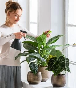 Dehner Keramik-Übertopf Mathea, Bauchig, Gold/braun 10 Dehner Keramik-Übertopf Mathea, Bauchig, Gold/braun -Pflanzenwelt Verkauf 220527 5178124 PR WE 001 SprueherGrau