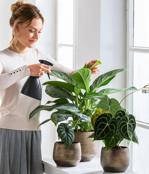 Dehner Keramik-Übertopf Mathea, Bauchig, Gold/braun 6 Dehner Keramik-Übertopf Mathea, Bauchig, Gold/braun – Bild 4