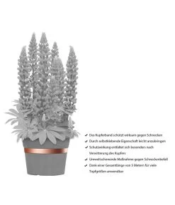 Dehner Bio Schneckenband Kupfer, 5 M 9 Dehner Bio Schneckenband Kupfer, 5 M -Pflanzenwelt Verkauf 2536555 WE IG 001 DehnerBioSchneckenbandKupfer5m