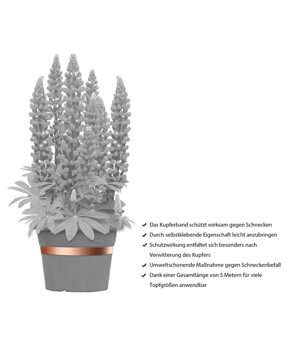 Dehner Bio Schneckenband Kupfer, 5 M 6 Dehner Bio Schneckenband Kupfer, 5 M – Bild 4