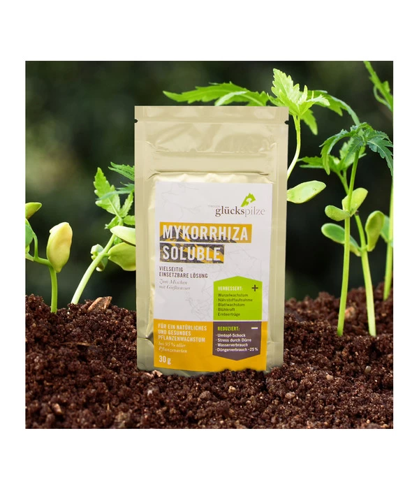 Mykorrhiza Soluble, 30 G 3 Mykorrhiza Soluble, 30 G