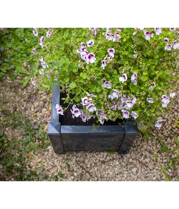 KHW Kunststoff-Pflanzkasten, 43 X 43 X 41 Cm 11 KHW Kunststoff-Pflanzkasten, 43 X 43 X 41 Cm – Bild 9