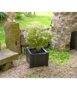 KHW Kunststoff-Pflanzkasten, 43 X 43 X 41 Cm 12 KHW Kunststoff-Pflanzkasten, 43 X 43 X 41 Cm -Pflanzenwelt Verkauf 2549376 WE MO 002 Kasten43cmanthrazit