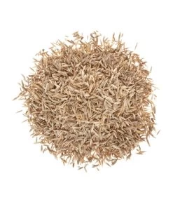 Wolf-Garten Wolf Premium-Rasen Supra 5 Wolf-Garten Wolf Premium-Rasen Supra -Pflanzenwelt Verkauf 2682078 BildD 001 RasenSaatgutWolfPremiumRasenSupraPremiumRasenSupra25Qm