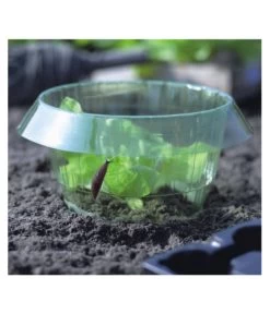 Dehner Schneckenschutzring 5 Dehner Schneckenschutzring -Pflanzenwelt Verkauf 2773729 WE MO 001 DehnerSchneckenschutzring