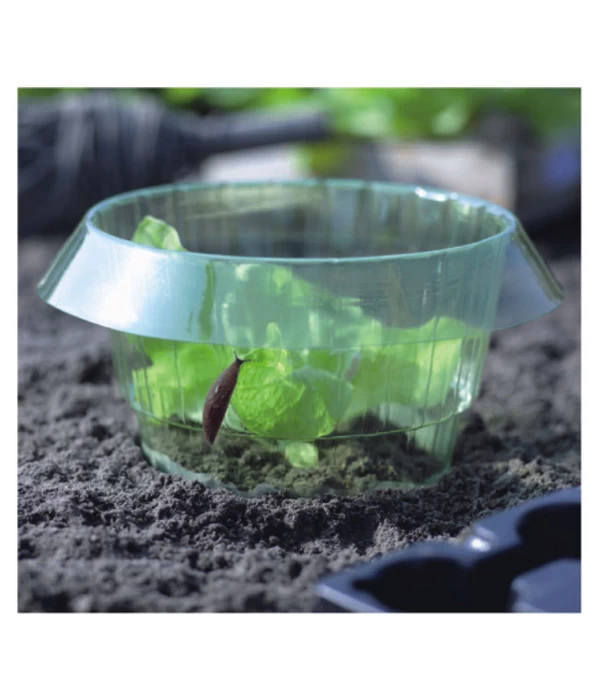 Dehner Schneckenschutzring 4 Dehner Schneckenschutzring – Bild 2