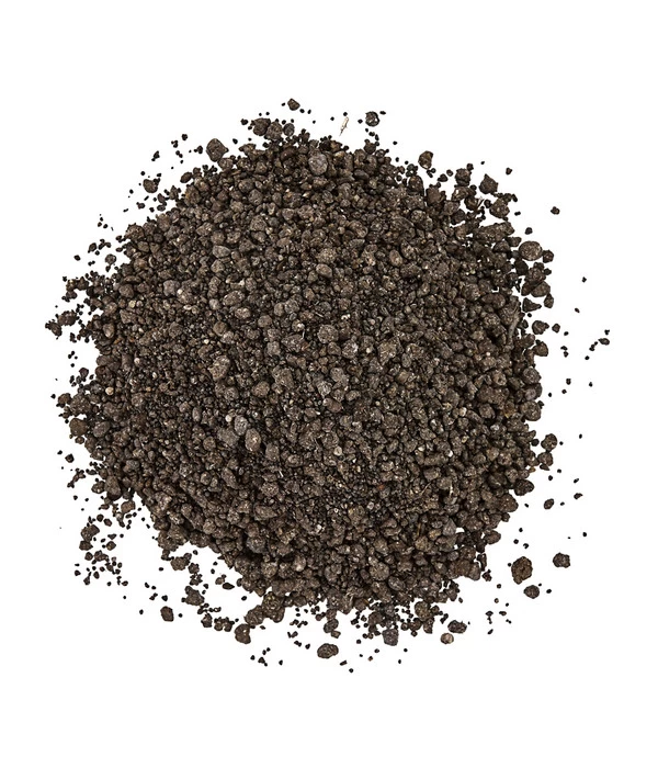 Dehner Koniferen-Dünger 5 Dehner Koniferen-Dünger – Bild 3