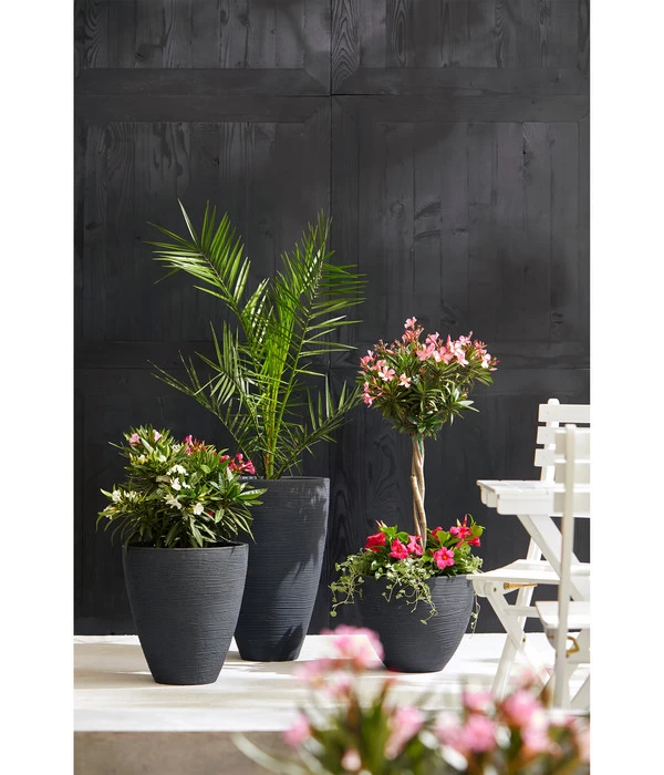 Dehner Kunststoff-Topf San Diego, Konisch, Anthrazit 4 Dehner Kunststoff-Topf San Diego, Konisch, Anthrazit – Bild 2