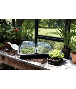 Elho Anzuchtschale M 5 Elho Anzuchtschale M -Pflanzenwelt Verkauf 3009362 WE MO 001 AnzuchtschaleMSchwarzElho