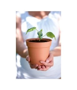 Elho Starter-Set Töpfe, 10 Stück 5 Elho Starter-Set Töpfe, 10 Stück -Pflanzenwelt Verkauf 3009693 WE MO 001 StarterSetToepfeSchwarz10StueckElho