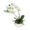 Dehner Kunstpflanze Mini-Orchidee Phalaenopsis, Weiß -Pflanzenwelt Verkauf 3134897 WE FS 001 DPIPhalaenopsis25cm