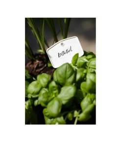 Elho Pflanz-Stift, 5 Stück 7 Elho Pflanz-Stift, 5 Stück -Pflanzenwelt Verkauf 3266806 MO FS 001 PflanzstiftMweissElhoEtikett