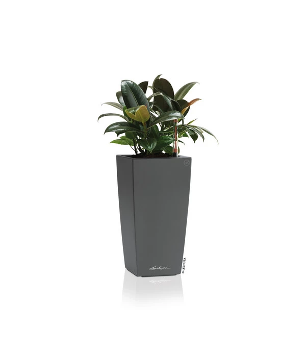 LECHUZA® MAXI/MINI-CUBI, All-in-One-Set 5 LECHUZA® MAXI/MINI-CUBI, All-in-One-Set – Bild 3