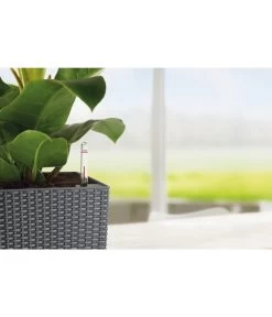 LECHUZA® Kunststoff-Topf Cubico Cottage 25 LECHUZA® Kunststoff-Topf Cubico Cottage -Pflanzenwelt Verkauf 3528429 WE DE 004 LechuzaCubicoCottageBlumenkuebeleckigBlumentopfBlumenvasegrau