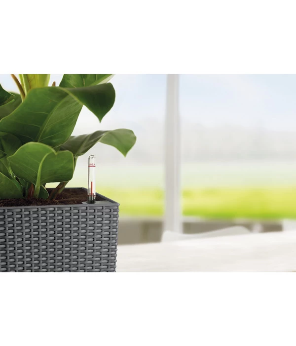 LECHUZA® Kunststoff-Topf Cubico Cottage 14 LECHUZA® Kunststoff-Topf Cubico Cottage – Bild 12