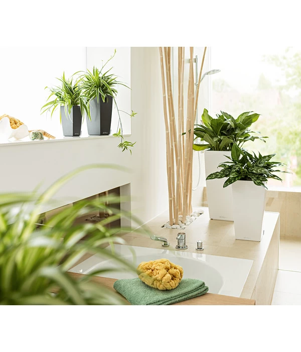 LECHUZA® MAXI/MINI-CUBI, All-in-One-Set 7 LECHUZA® MAXI/MINI-CUBI, All-in-One-Set – Bild 5