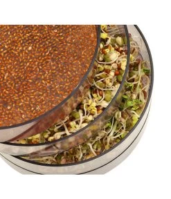 Dehner Sprossenhaus, 4 Schalen 8 Dehner Sprossenhaus, 4 Schalen -Pflanzenwelt Verkauf 3677101 WE MO 002 DehnerSprossenhausKeimsprossen