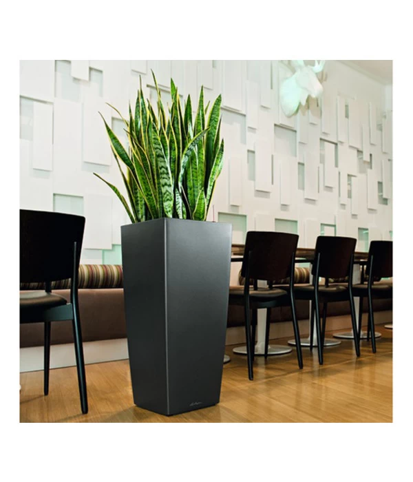 LECHUZA® CUBICO Premium, All-in-One-Set 5 LECHUZA® CUBICO Premium, All-in-One-Set – Bild 3