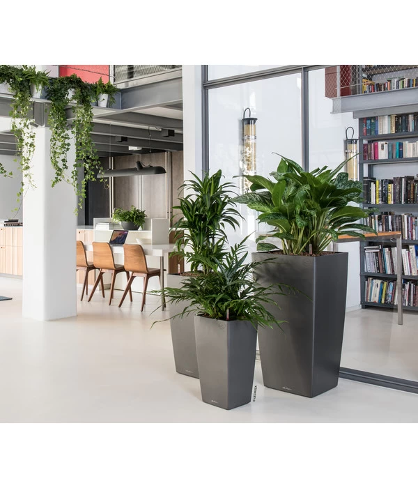 LECHUZA® CUBICO Premium, All-in-One-Set 6 LECHUZA® CUBICO Premium, All-in-One-Set – Bild 4