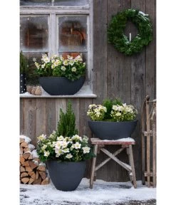 Dehner Kunststoff-Schale Miami, Oval, Anthrazit, Ca. B52/H20/T23 Cm 9 Dehner Kunststoff-Schale Miami, Oval, Anthrazit, Ca. B52/H20/T23 Cm -Pflanzenwelt Verkauf 3694254 3693926 WE MO 001 KunststoffTopfStonekonischanthrazit