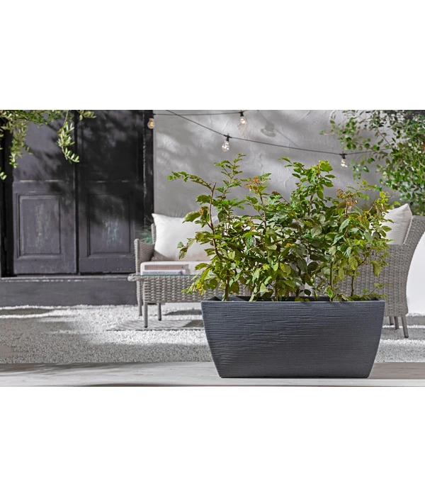 Kunststoff-Pflanzkasten Rille, Ca. B80/H34/T40 Cm, Anthrazit 5 Kunststoff-Pflanzkasten Rille, Ca. B80/H34/T40 Cm, Anthrazit – Bild 3