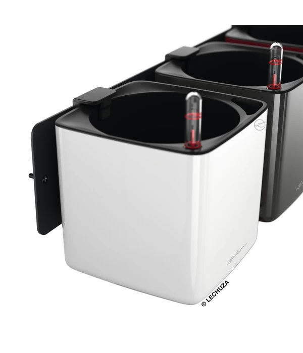 LECHUZA® CUBE Glossy Green Wall Home Kit, Ca. B48/H14/T15 Cm 6 LECHUZA® CUBE Glossy Green Wall Home Kit, Ca. B48/H14/T15 Cm – Bild 4