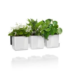 LECHUZA® CUBE Glossy Green Wall Home Kit, Ca. B48/H14/T15 Cm 9 LECHUZA® CUBE Glossy Green Wall Home Kit, Ca. B48/H14/T15 Cm -Pflanzenwelt Verkauf 3767662 WE FS 003 CubeGlossyGreenWallHomeKitWeiss