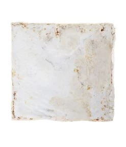 Pilzmännchen Bio Pilzzuchtset Austernpilz 7 Pilzmännchen Bio Pilzzuchtset Austernpilz -Pflanzenwelt Verkauf 3940285 BildD 002 PilzmaennchenBioHomePilzzuchtsetAusternpilzPilzbrutAusternpilzSet