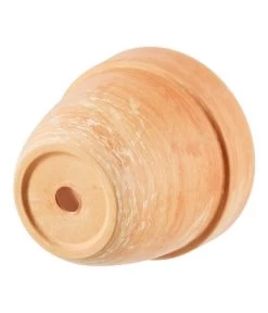 Spang Terrakotta-Pflanztopf Levante, Rund, Marmoriert -Pflanzenwelt Verkauf 3952744 BildD 001 TerrakottaPflanztopfLevanteTerrPflanztopf19Cm