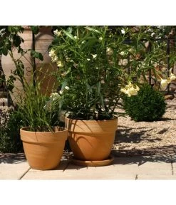 Spang Terrakotta-Pflanztopf Levante, Rund, Marmoriert -Pflanzenwelt Verkauf 3952744 BildM 001 TerrakottaPflanztopfLevanteTerrPflanztopf19Cm