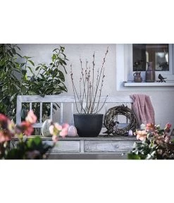 Kunststoff-Topf Padua, Rund 9 Kunststoff-Topf Padua, Rund -Pflanzenwelt Verkauf 3962933 WE MO 001 KunststoffTopfPadua