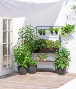 Kunststoff-Topf Padua, Rund 10 Kunststoff-Topf Padua, Rund -Pflanzenwelt Verkauf 3962933 WE MO 002 KunststoffTopfPaduarund