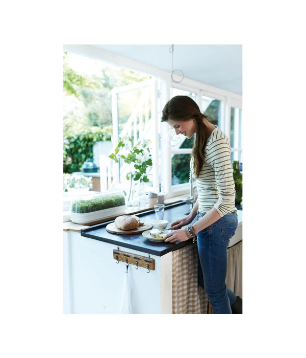 Elho Anzuchthaube L 5 Elho Anzuchthaube L – Bild 3