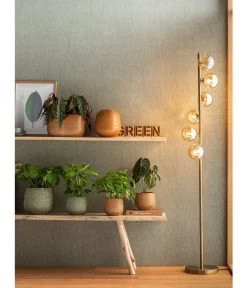 Korbmarante - Calathea Mosaica -Pflanzenwelt Verkauf 4073847 PR MO 001 JardiniereTopfVaseSafirGelbGruen 4077731 4069274 4072542 4092896